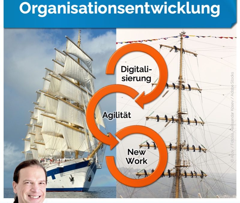 Sys­te­mi­sche Or­ga­ni­sa­ti­ons­ent­wick­lung im Wan­del von New Work